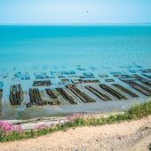 Austernwinter in der Bretagne