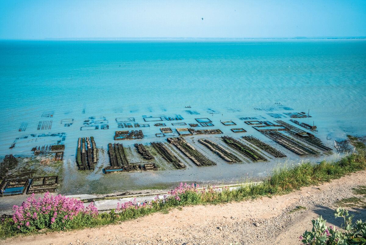 Austernwinter in der Bretagne