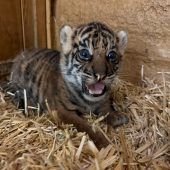 Zuwachs im Tierpark