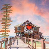 Zwischen Riff und Inselalltag