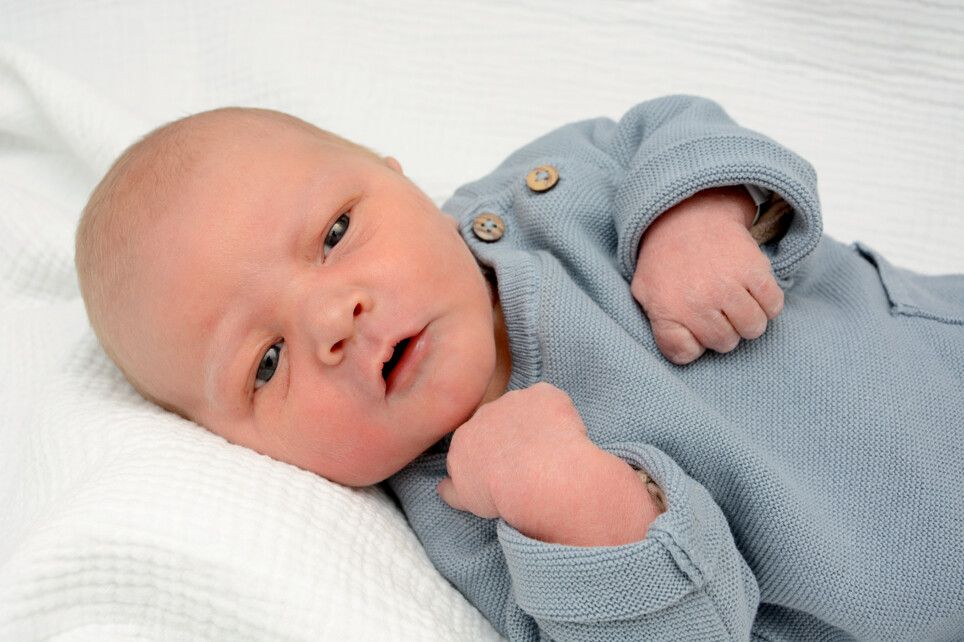 Jan Kirchmann aus Langen