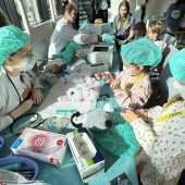 OP für kranke Teddys