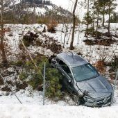 Pkw prallte gegen Baum und Zaun