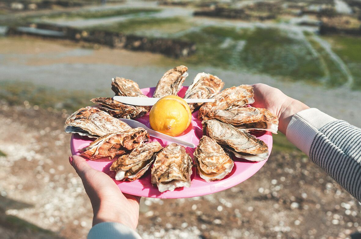 Je nach Herkunft und Größe unterscheiden sich Geschmack und Fleischanteil.