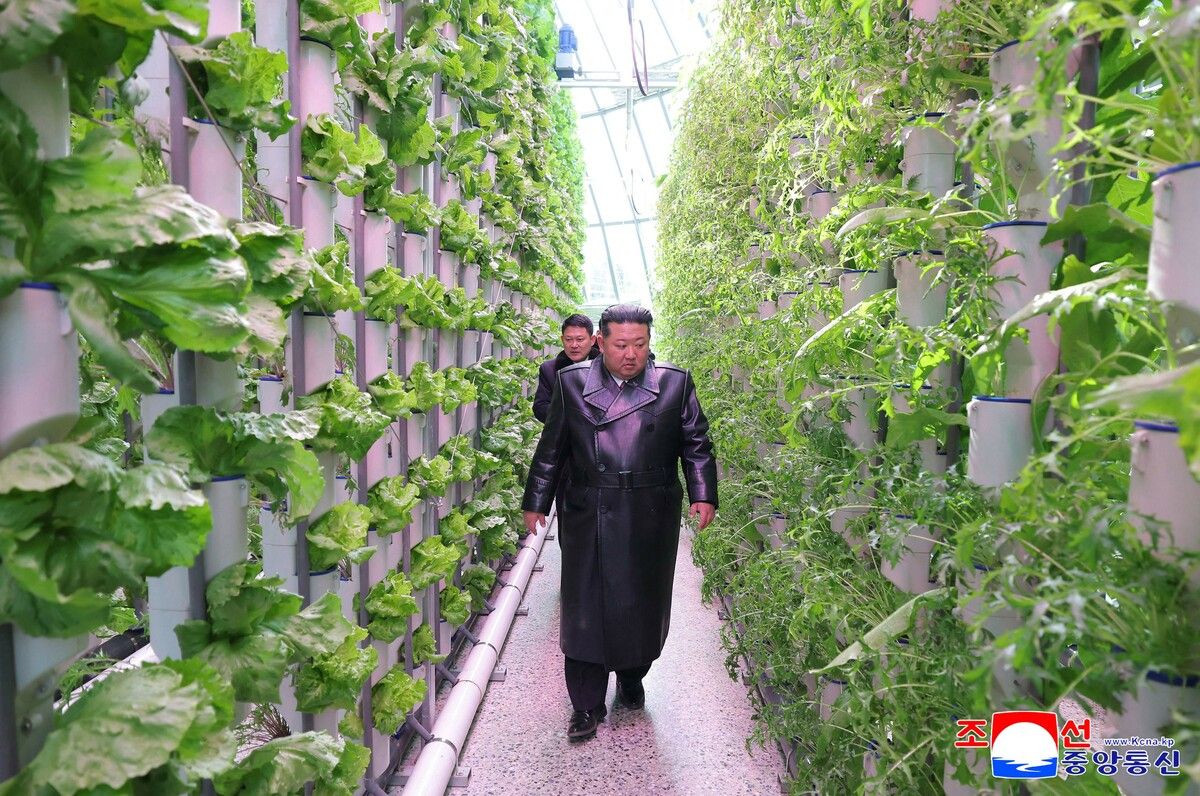 Kim Jong Un inspiziert die neue vertikale Gewächshausfarm Sinuiju in der Provinz Nord-Pyongan, Nordkorea.