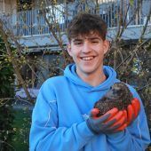 Ein Herz für stachelige Gartenbewohner
