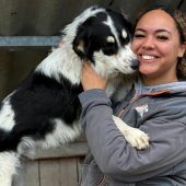 Medo ist auf der Suche nach seinem Glück