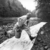 Das Wesen hinter dem Bild