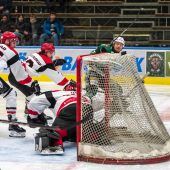 Die Wälder zittern  sich ins Pre-Play-off