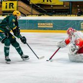 Vorarlbergs ÖEL-Ligisten ließen in Heimspielen nichts anbrennen