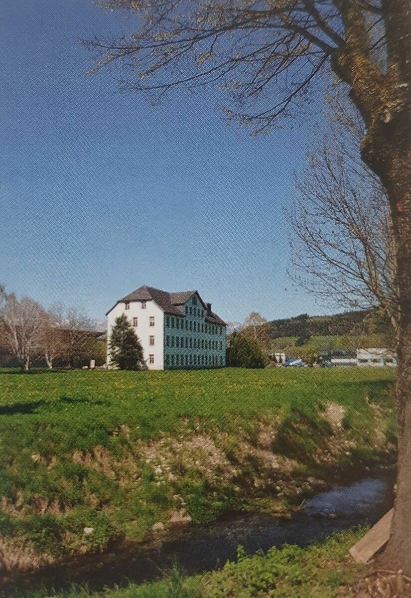 Satteinser Au mit Fussenegger-Fabrik 2013, heute erinnern Metallbetriebe und ein neues Kraftwerk an zwei Jahrhunderte Industriegeschichte.⇒Böhringer