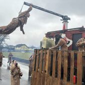 Klein aber vom Feinsten: Viele Kinder, lautes „Bammile, Ho!“