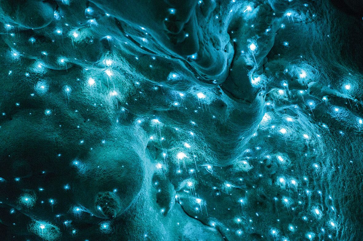 Tausende winzige Punkte an der Decke machen die Höhle zum Nachthimmel.