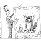 Stricheleinheiten. Von Silvio Raos