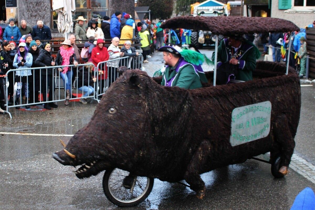 Traditionell wurde der Alberschwender Umzug von der fahrenden Wildsau angeführt.⇒STP
