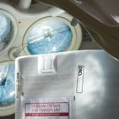 Ermittlungen dauern an