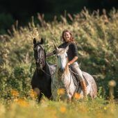 Show, Shopping und Stallwissen auf der Pferd Bodensee 2026