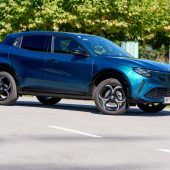 Das kleine Alfa-Tier als mutiger Muntermacher