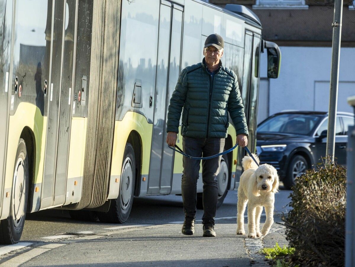Arthur Stauber ist dreimal täglich mit seinem Goldendoodle Bono in Lochau unterwegs. Auf dem Weg an den See müssen die beiden mehrere Straßen überqueren. ⇒VN/Paulitsch