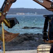 Rettungsversuch mit Baggern