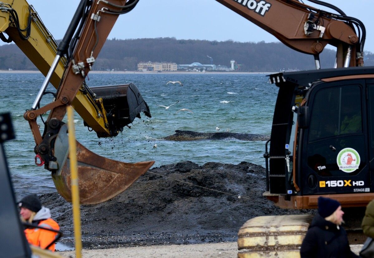 Besonders herausfordernd seien bei der Rettungsaktion Wind und Strömung.⇒AFP