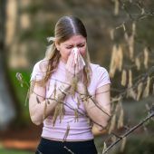 Pollenallergien nehmen zu: So schützen Sie sich