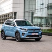 Charmeur im Kleinformat geht auf Eroberungstour