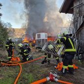 Gasflaschen explodieren, mehrere Tiere gerettet