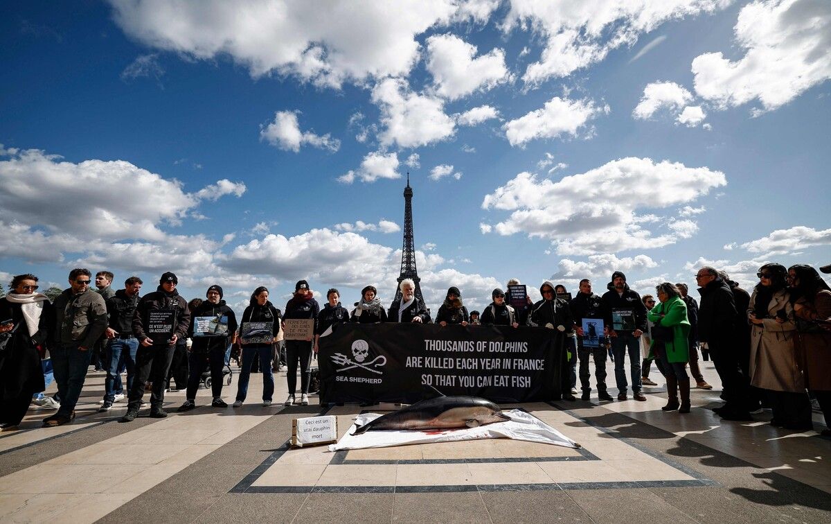 Der kanadisch-amerikanische Umweltaktivist und Gründer der Sea Shepherd Conservation Society, Paul Watson (Mitte), und weitere Aktivisten protestieren in Frankreich gegen den Beifang von Delfinen und anderen Meereslebewesen. AFP (5)