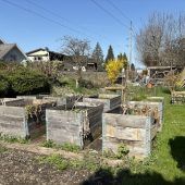 Schrebergärten in Feldkirch werden teurer
