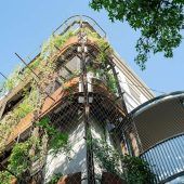 „Grüne Wand“ gewinnt Staatspreis für Klima