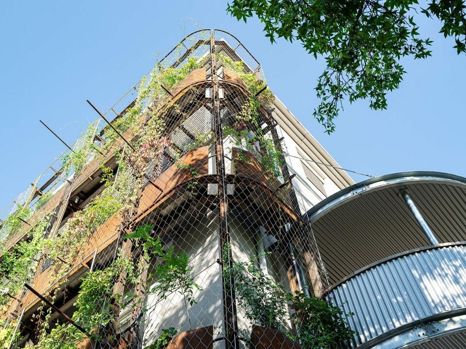 Die Arbeiterkammer Vorarlberg wurde ausgezeichnet. Ihre „Grüne Wand“ in Feldkirch kühlt Gebäude natürlich – und gilt nun als Vorzeigeprojekt für klimafitte Städte.