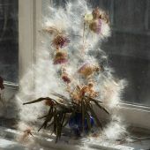 Mythologien des Alltags