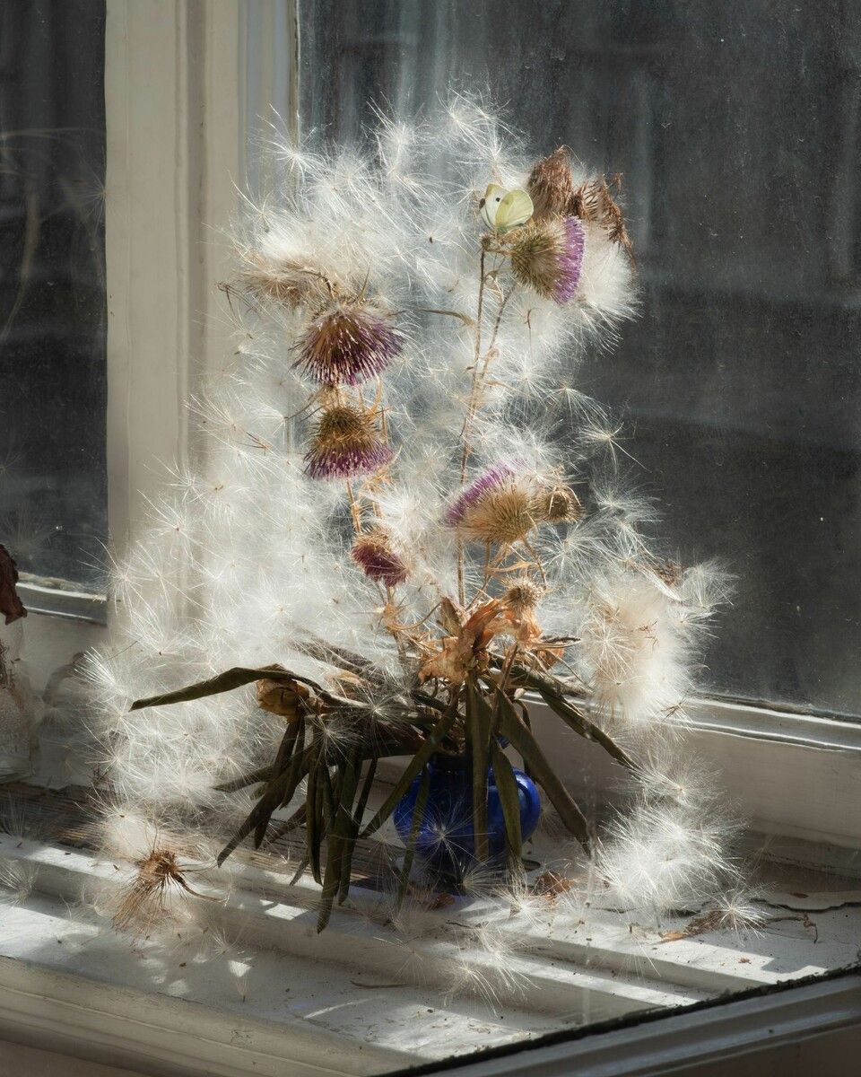 Die Ausstellung „Everyday Mythologies” findet vom 7. März bis 19. April 2026 statt.⇒Susanna Hofer (2)