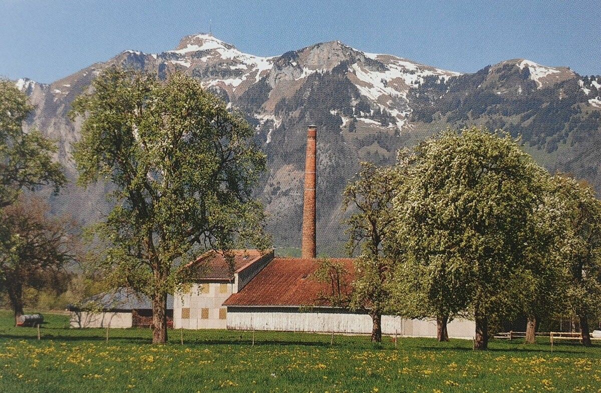 Die Leim- und Kunstdüngerfabrik Schatzmann von Osten 2013. ⇒jasmine Schatzmann-Sturn (2)