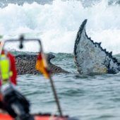 Wettlauf gegen die Zeit