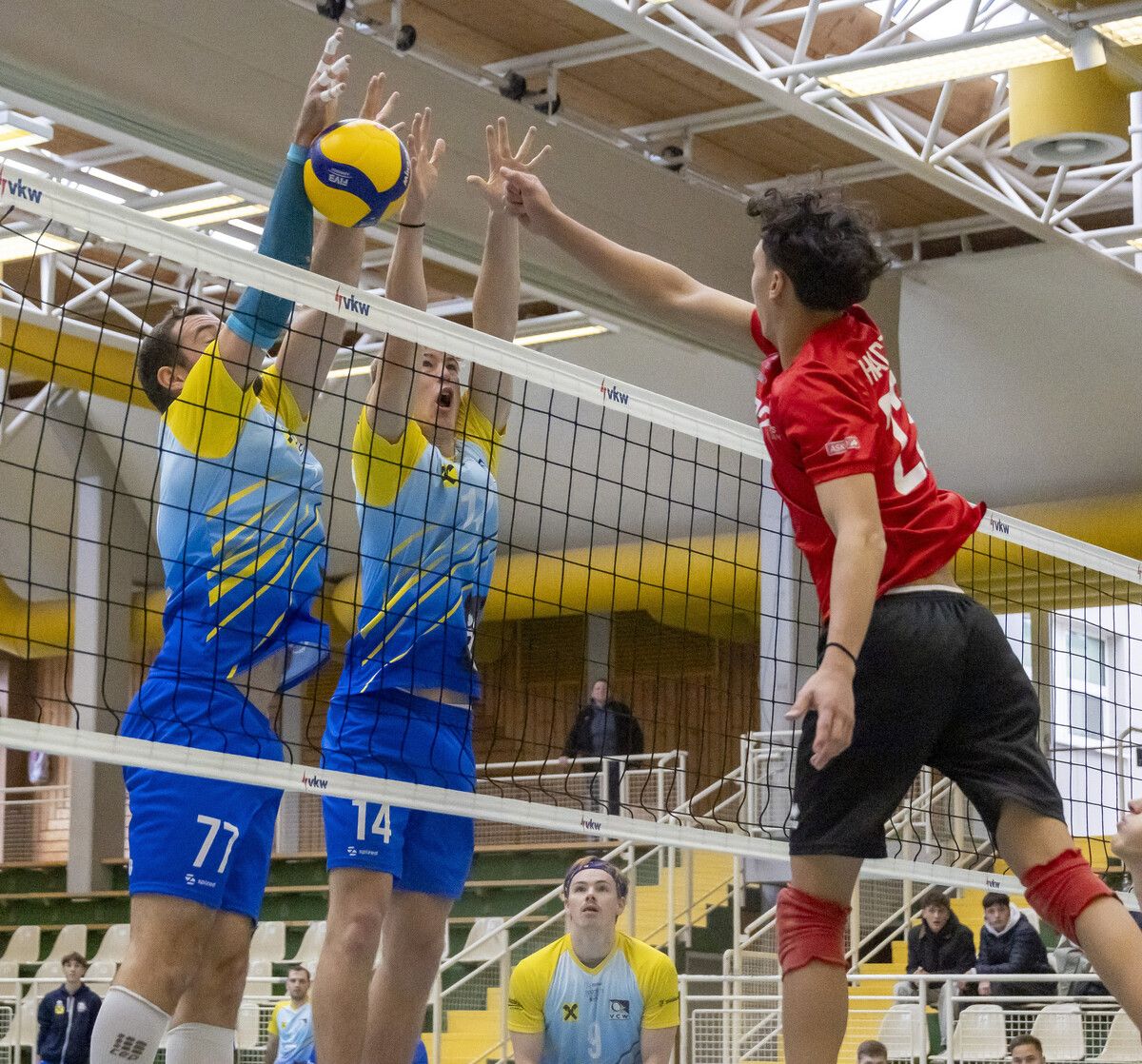 Die VCW-Herren können auf eine fast perfekte Heimbilanz verweisen.⇒Paulitsch