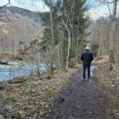 Tschaggunser Auwald soll gerodet werden