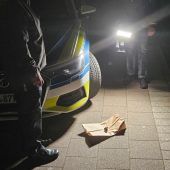 Elf Gesteinsteile nach Einschlag von Meteoriten gefunden
