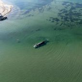 Wenig Hoffnung für Buckelwal