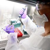 Vogelgrippe in Italien: Erster H9N2-Fall beim Menschen