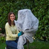 Eisige Tage für Hobbygärtner