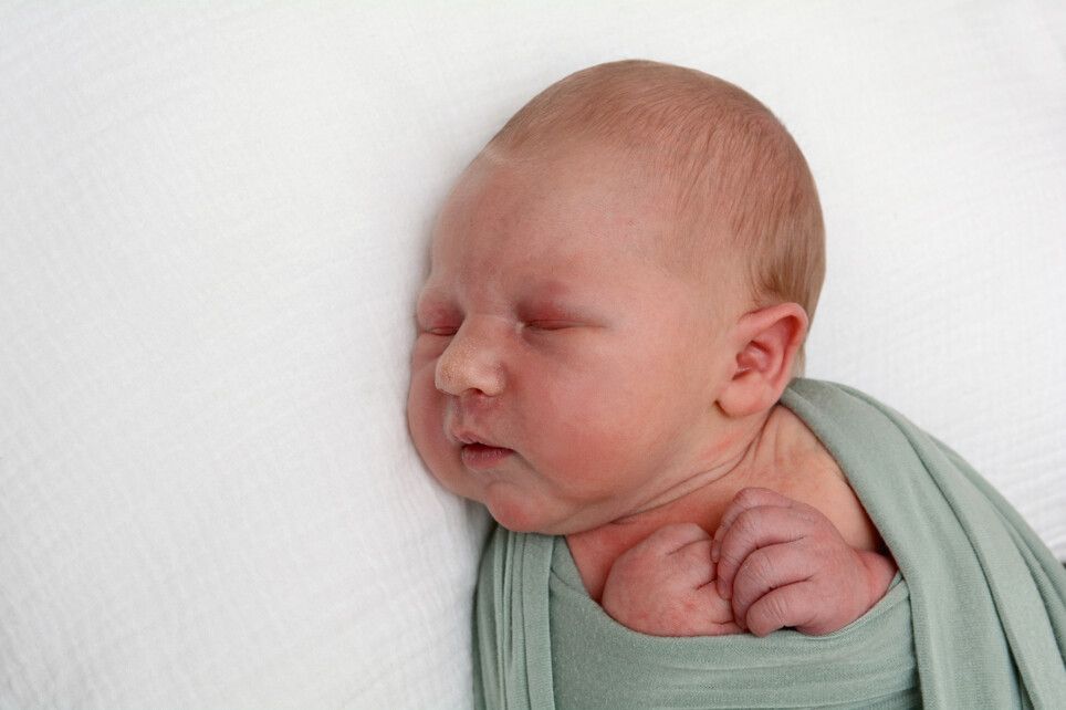 Aris Schöch aus Rankweil