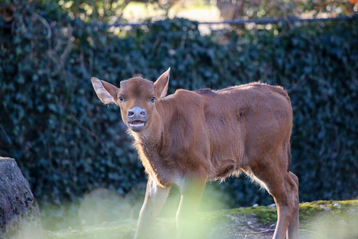 Freude im Zoo Berlin