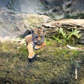 Kleine Lilly ganz groß