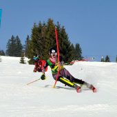 ÖM-Silber und Bronze