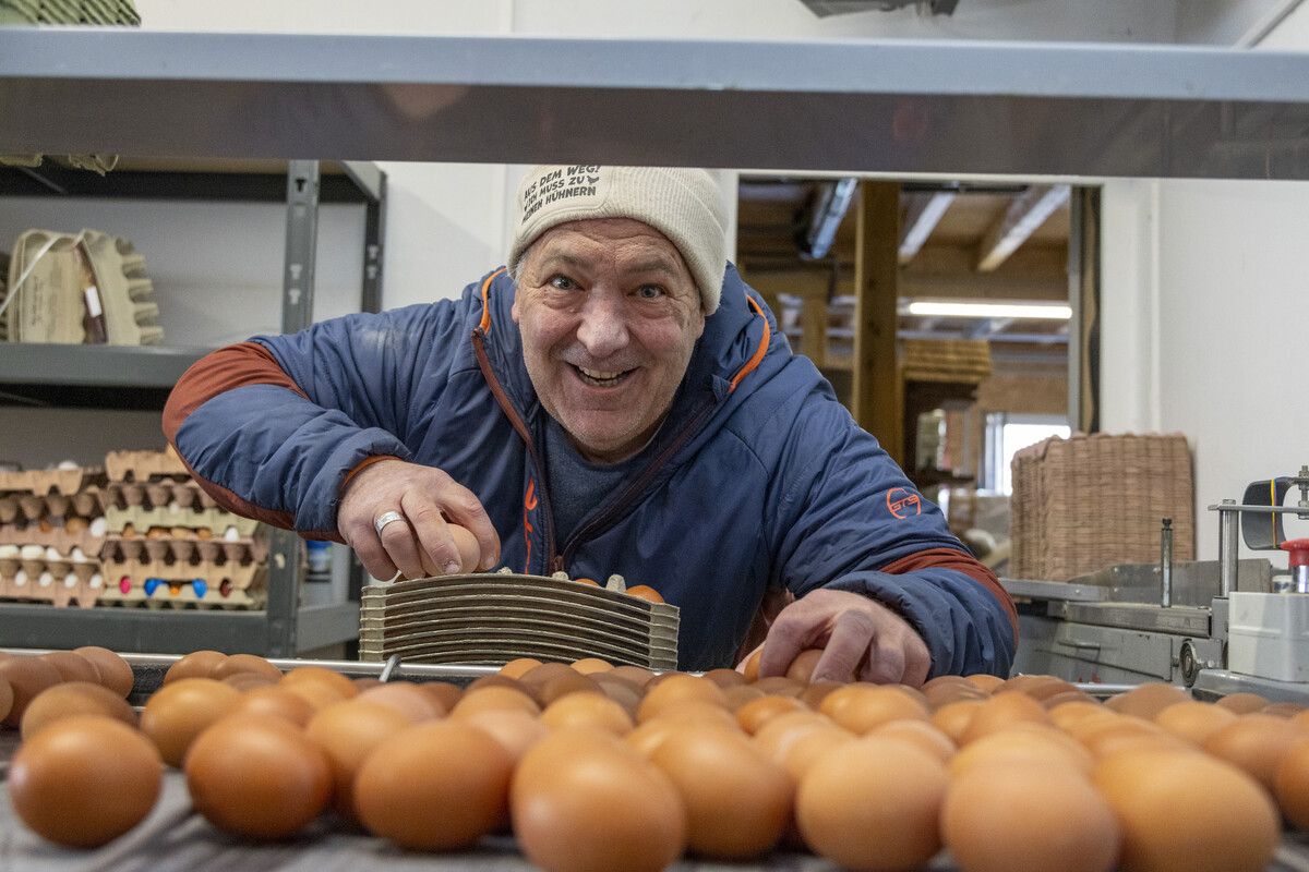 Trotz Eier-Knappheit: Im Land ist man trotz hoher Anfragen gerüstet. »A6