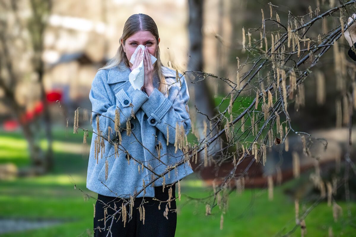 Wenn Pollen fliegen, läuft die Nase