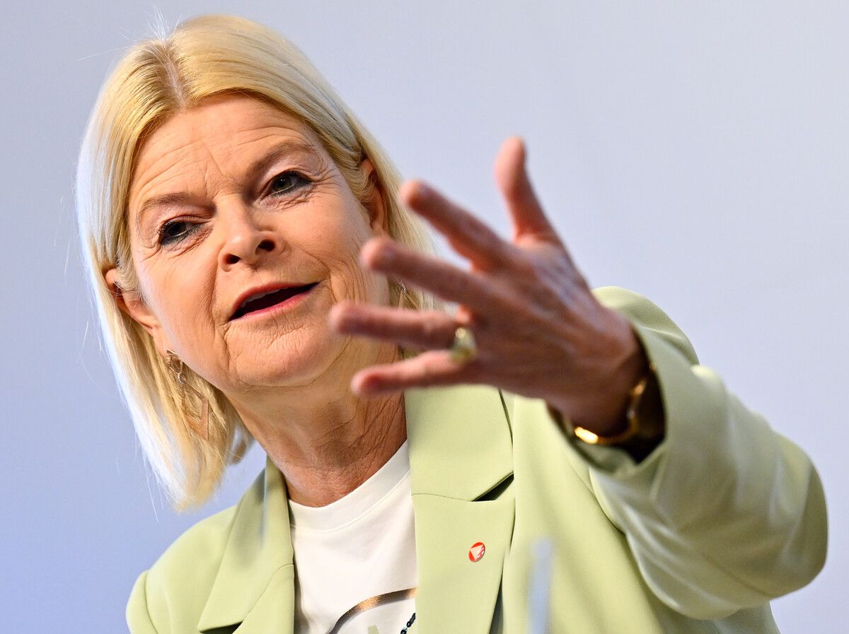 Für Tanner drängt bei der Wehrpflicht die Zeit.⇒APA