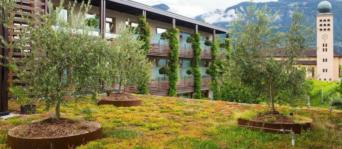 Gebäudebegrünung: Vortrag in der inatura.⇒Obst- und Gartenbauverein